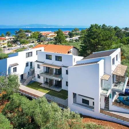 Olive Roots Skala Rachoni (Thasos)