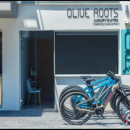 Hotel Olive Roots Skala Rachoni (Thasos)