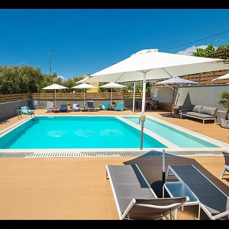 Olive Roots * Skala Rachoni (Thasos)