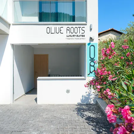 Olive Roots Hotel