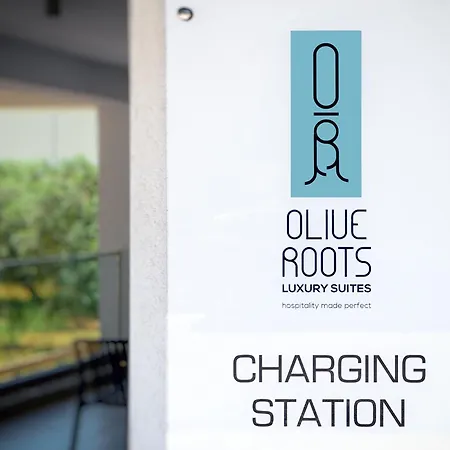 Olive Roots Hotel Skala Rachoni (Thasos)