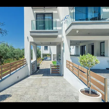 Olive Roots * Skala Rachoni (Thasos)