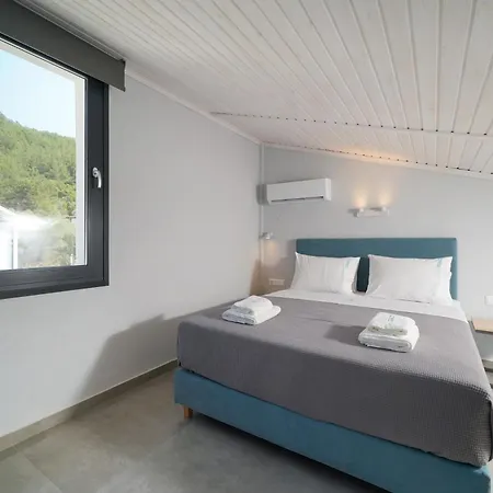 Olive Roots * Skala Rachoni (Thasos)