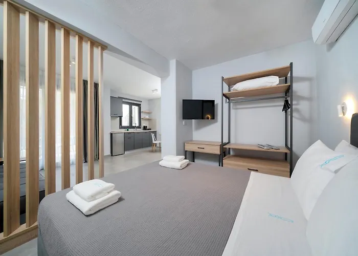 Olive Roots Skala Rachoni (Thasos)