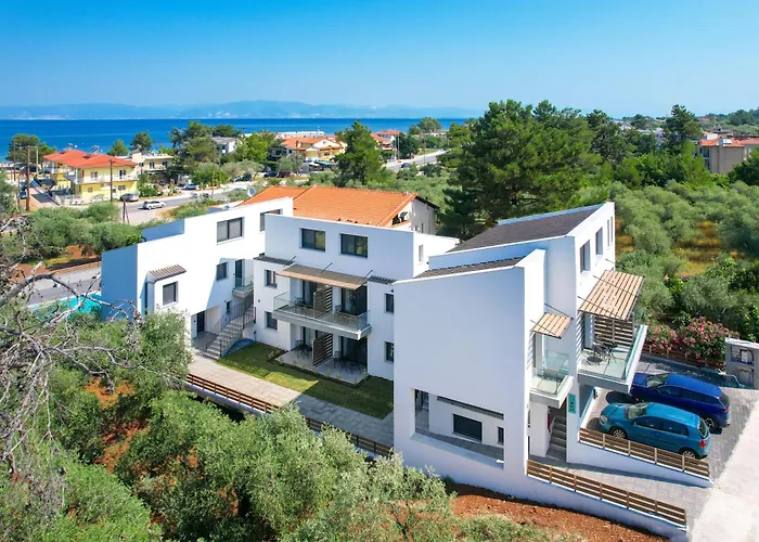 Olive Roots Skala Rachoni (Thasos)