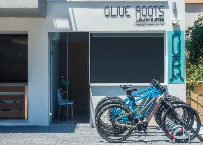 Otel Olive Roots Skala Rachoni (Thasos)