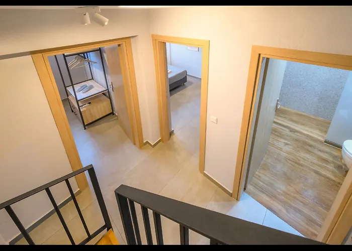 Olive Roots * Skala Rachoni (Thasos)