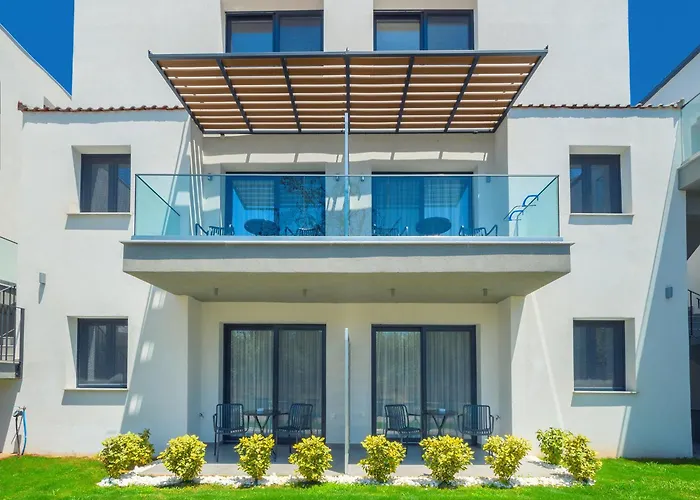 Olive Roots * Skala Rachoni (Thasos)