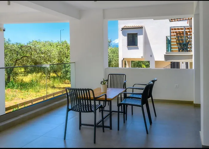 Olive Roots Skala Rachoni (Thasos)