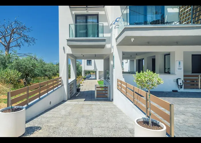 Olive Roots * Skala Rachoni (Thasos)