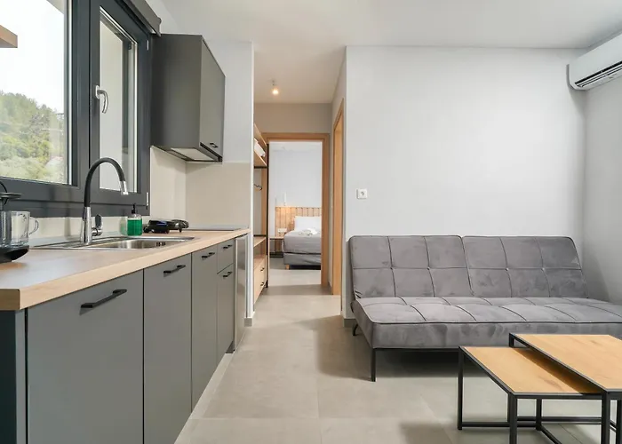 Olive Roots Skala Rachoni (Thasos)