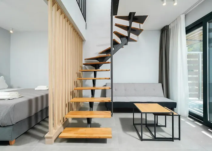 Olive Roots * Skala Rachoni (Thasos)