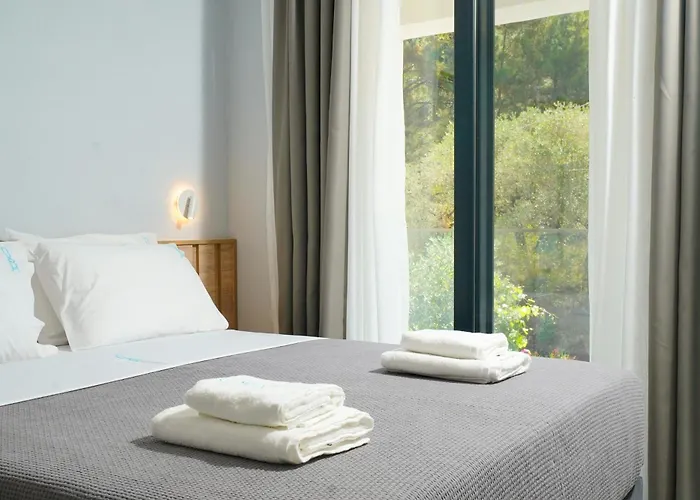 Olive Roots Skala Rachoni (Thasos)