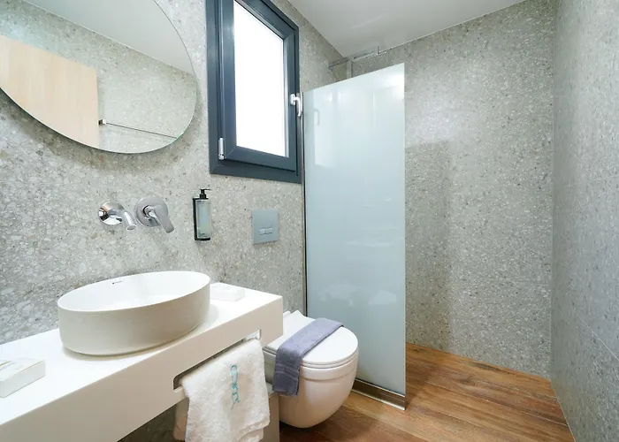 Olive Roots Skala Rachoni (Thasos)