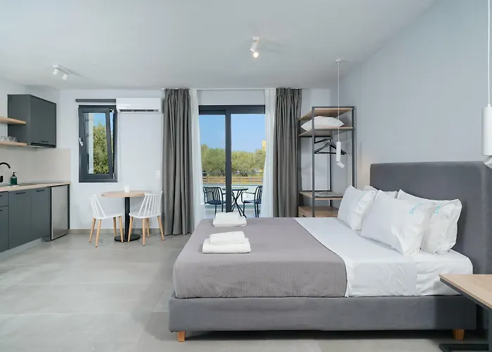 Olive Roots * Skala Rachoni (Thasos)