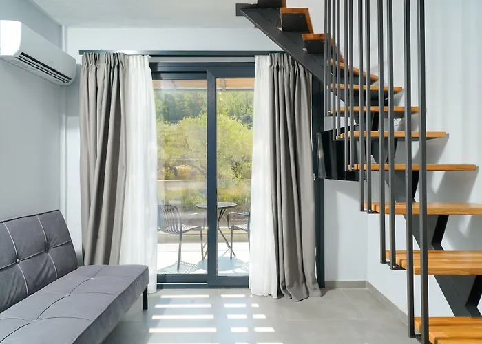 Olive Roots Skala Rachoni (Thasos)