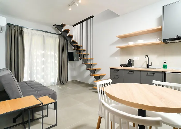 Olive Roots * Skala Rachoni (Thasos)