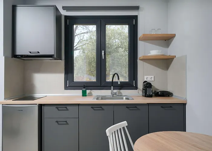 Olive Roots * Skala Rachoni (Thasos)