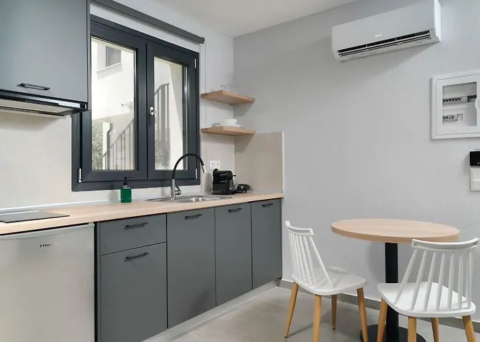 Olive Roots Skala Rachoni (Thasos)